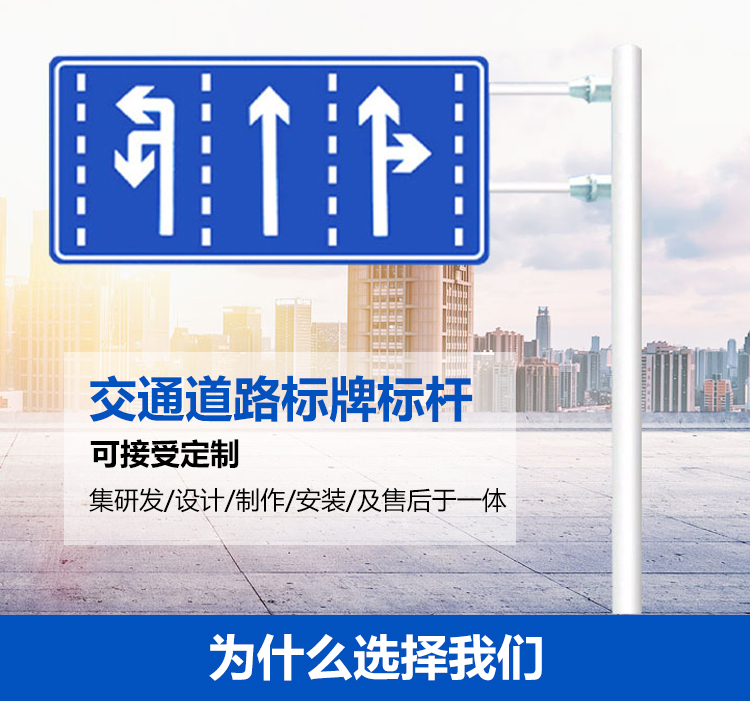 八棱監控桿安裝廠(chǎng)家